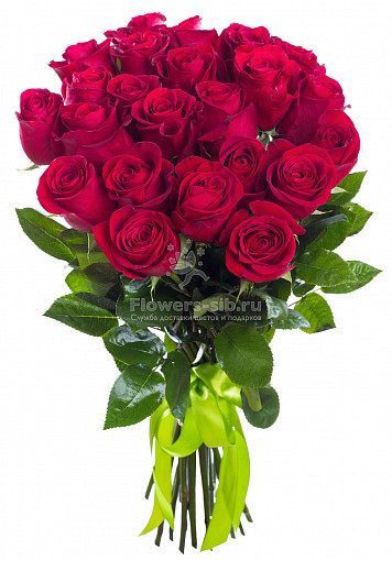 Доставка цветов 23 кенийская роза доставка москва